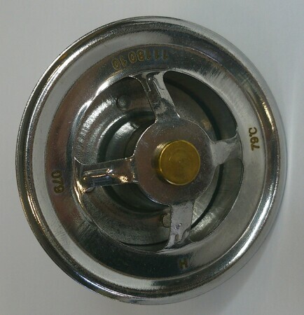 Термостат 111-8010/4110000186267/C22AL-1118010+A